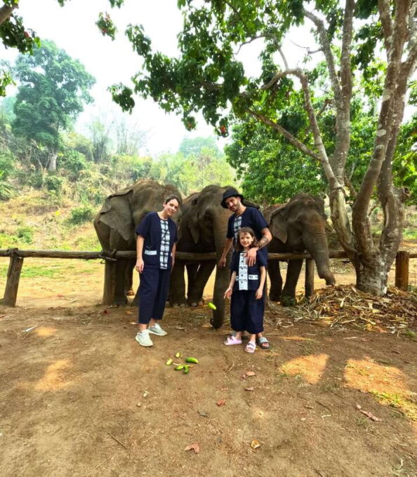From Chiang Mai: Chiang Mai Elephant Care Morning Program - Elephant Activities