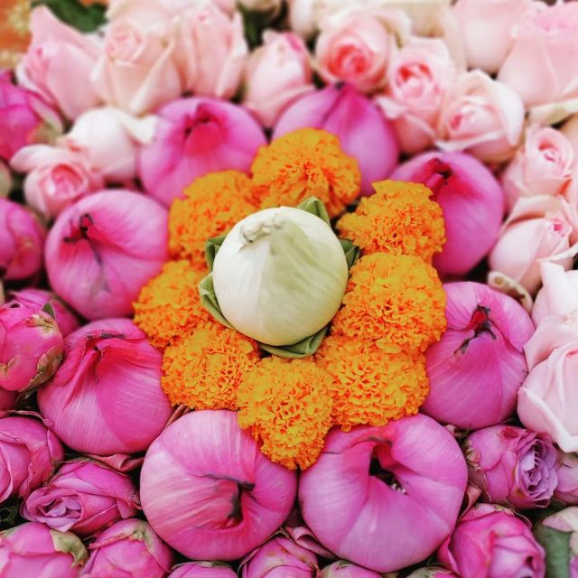 From Chiang Mai: Chiang Rai Temples and Golden Triangle Tour - Frequently Asked Questions