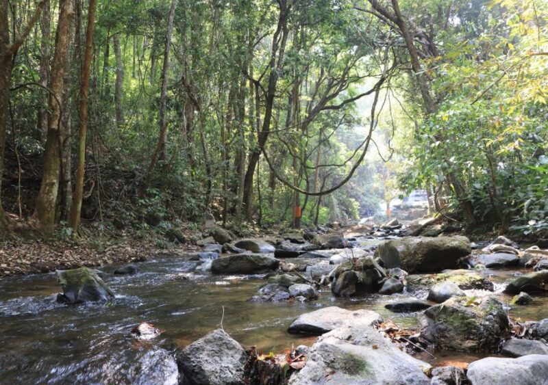 From Chiang Mai: Doi Inthanon National Park Hiking Tour - Key Points
