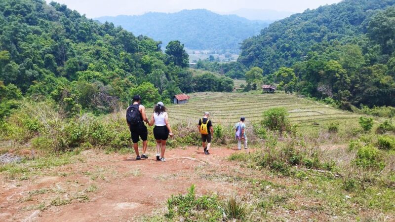From Chiang Mai: Doi Inthanon National Park Hiking Tour - Tour Inclusions