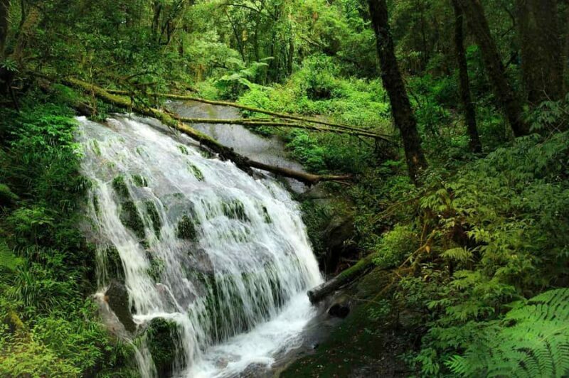 From Chiang Mai: Doi Inthanon Park, Waterfall & Lunch Tour - Exploring Doi Inthanon: The Highest Point in Thailand