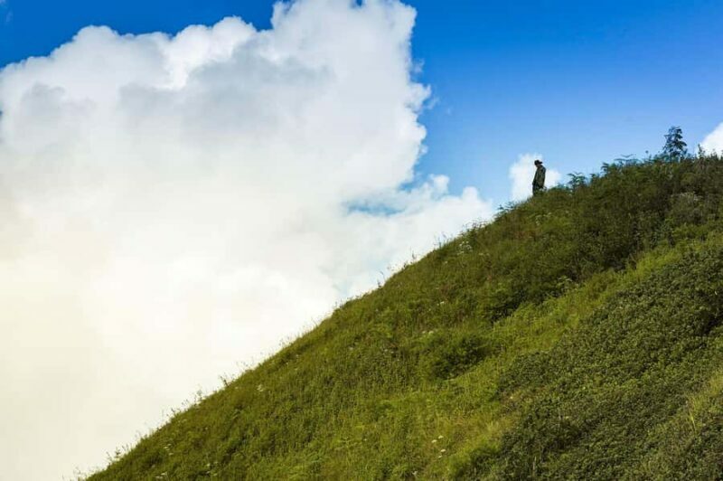 From Chiang Mai: Doi Inthanon Park, Waterfall & Lunch Tour - The Inclusion of Fees and Lunch