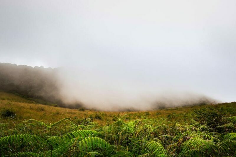 From Chiang Mai: Doi Inthanon Park, Waterfall & Lunch Tour - Who Will Love This Tour?