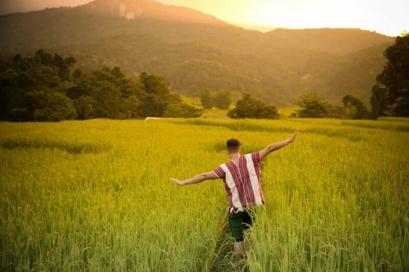 From Chiang Mai: Doi Inthanon Park, Waterfall & Lunch Tour - FAQ
