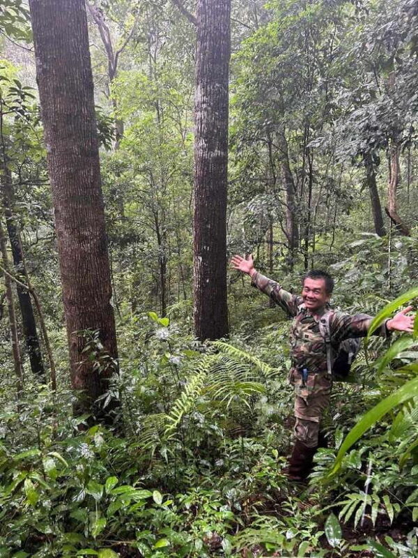 From Chiang Mai: Doi Saket Hiking Tour With Lunch - Guided Tour and Safety Briefing