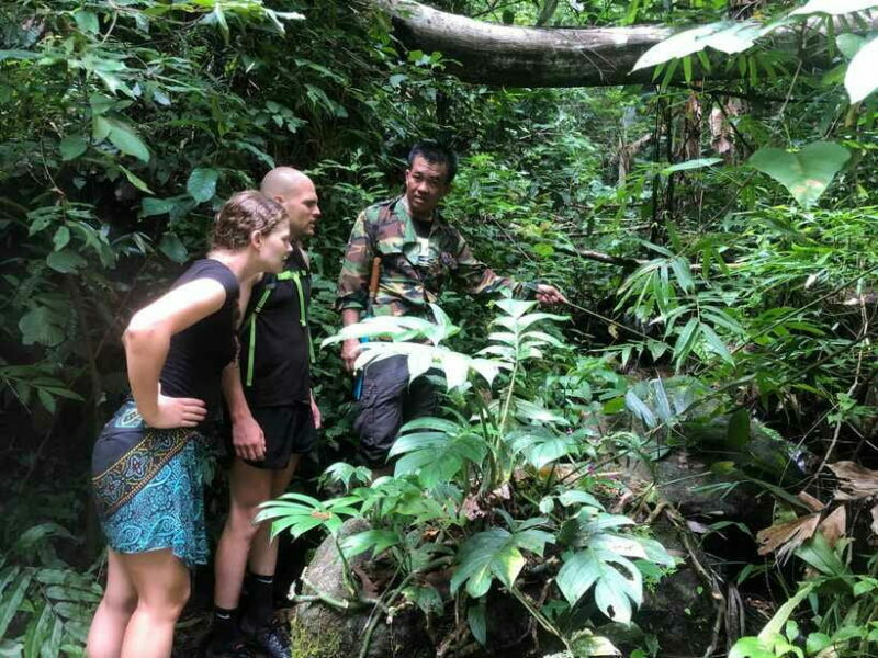From Chiang Mai: Doi Saket Hiking Tour with Lunch - A Detailed Look at the Doi Saket Hiking Tour