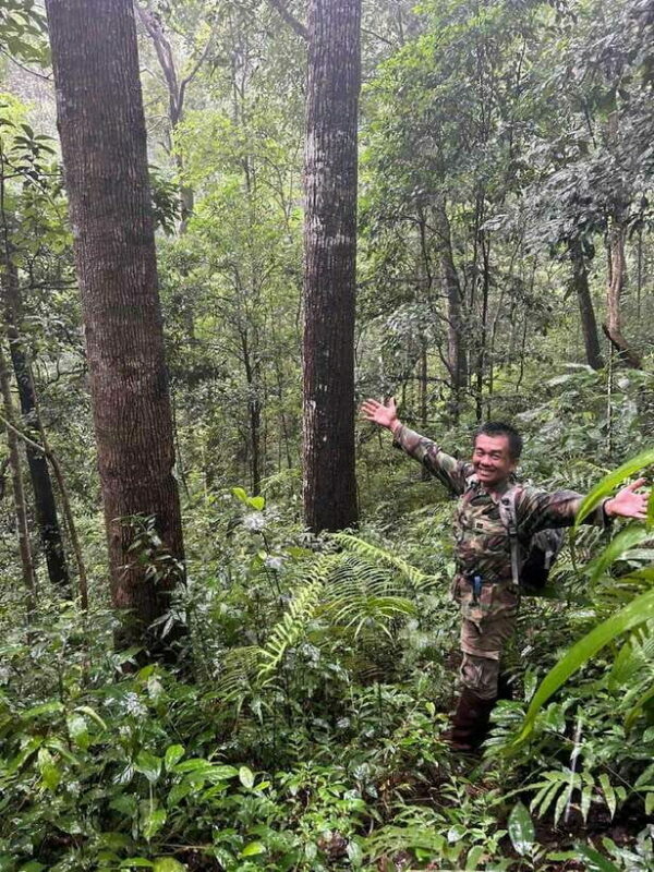 From Chiang Mai: Doi Saket Hiking Tour with Lunch - Who Should Book This Tour?