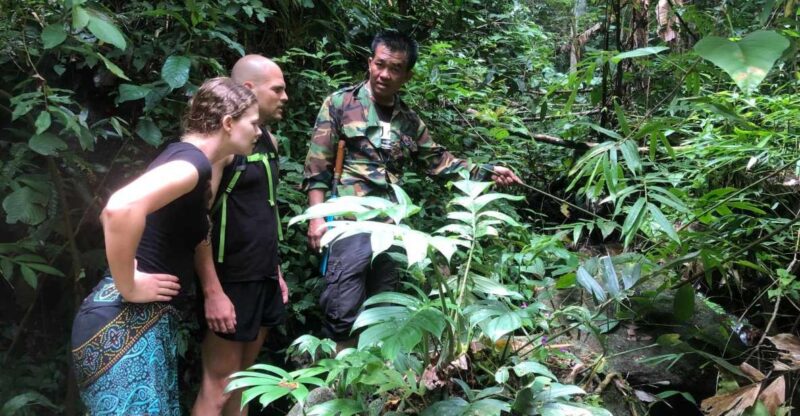 From Chiang Mai: Doi Saket Hiking Tour With Lunch - Itinerary Highlights
