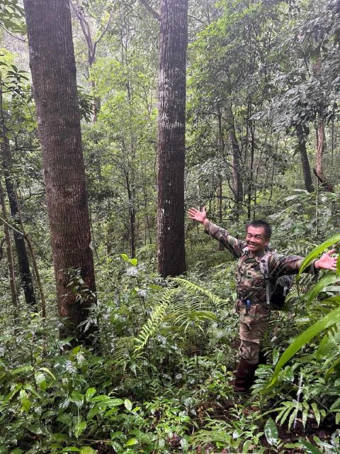 From Chiang Mai: Doi Saket Hiking Tour With Lunch - Physical Requirements