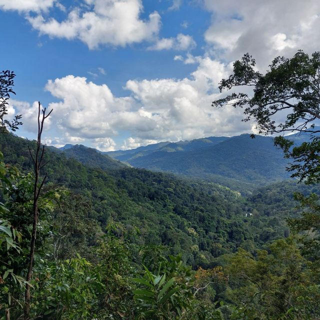 From Chiang Mai: Doi Saket Hiking Tour With Lunch - Explore Jungle Trails