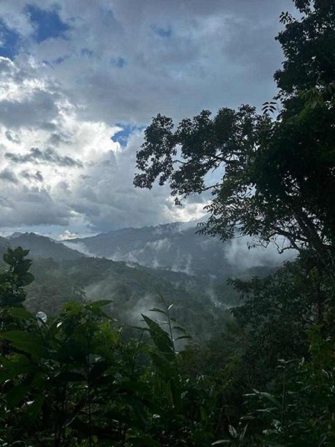 From Chiang Mai: Doi Saket Hiking Tour With Lunch - Discover Local Fruits
