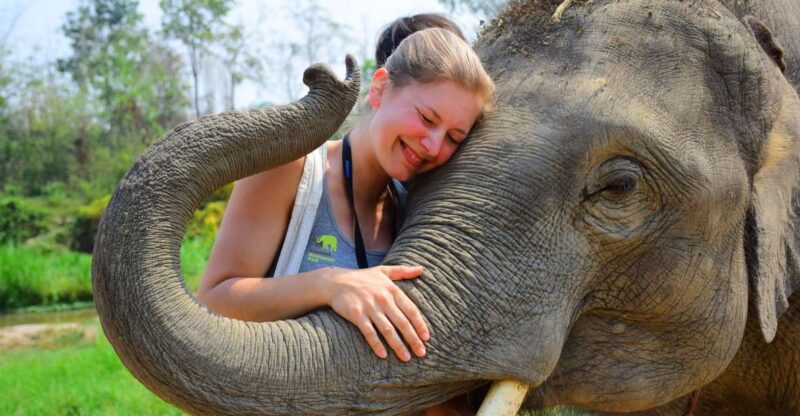 From Chiang Mai: Elephant Care Program and Nursery Tour - Itinerary