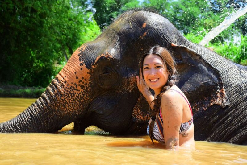 From Chiang Mai: Elephant Care Program and Nursery Tour - Elephant Retirement Park