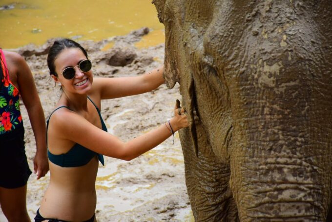 From Chiang Mai: Elephant Care Program and Nursery Tour - Vegetarian Thai Buffet