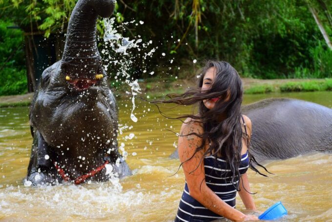 From Chiang Mai: Elephant Care Program and Nursery Tour - Frequently Asked Questions
