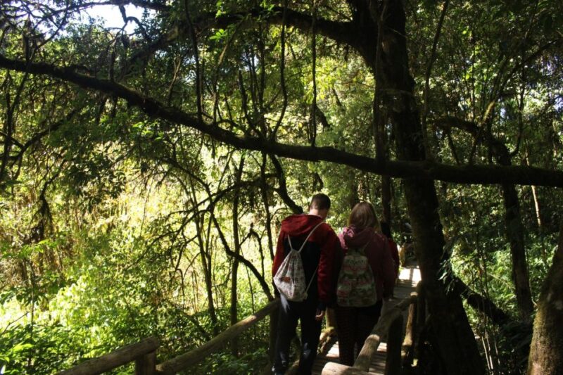 From Chiang Mai: Inthanon National Park - All Inclusive Tour - Important Information