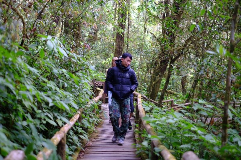 From Chiang Mai: Inthanon National Park - All Inclusive Tour - Customer Reviews
