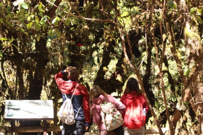From Chiang Mai: Inthanon National Park - All Inclusive Tour - Frequently Asked Questions
