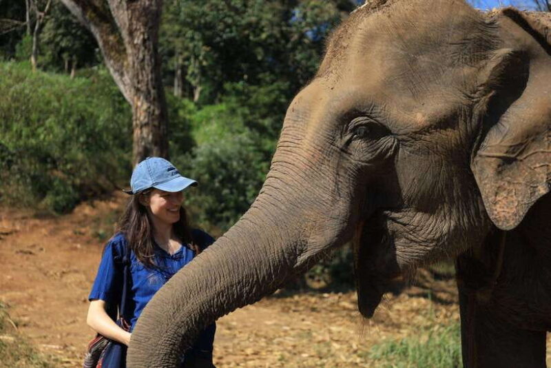 From Chiang Mai: Living Green Elephant Sanctuary Tour - Program Details
