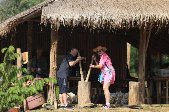 From Chiang Mai: Living Green Elephant Sanctuary Tour - Customer Testimonials and Ratings