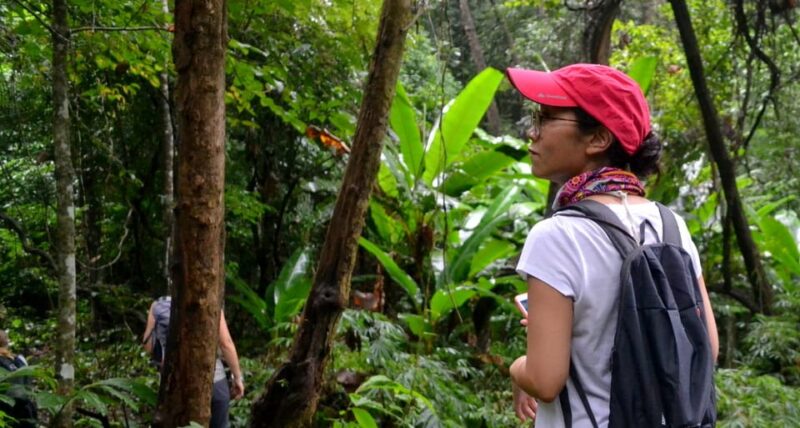 From Chiang Mai: Mae Taeng Valley Hike & Bike Day Trip - Key Points