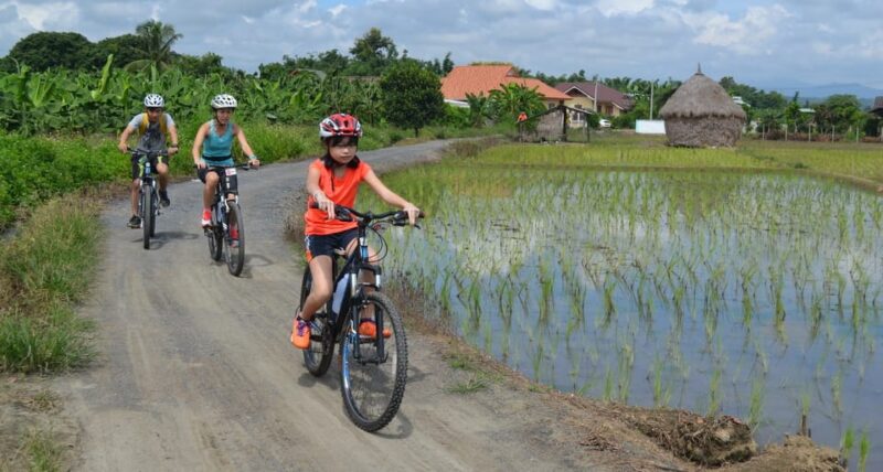 From Chiang Mai: Mae Taeng Valley Hike & Bike Day Trip - Learning About Flora and Culture
