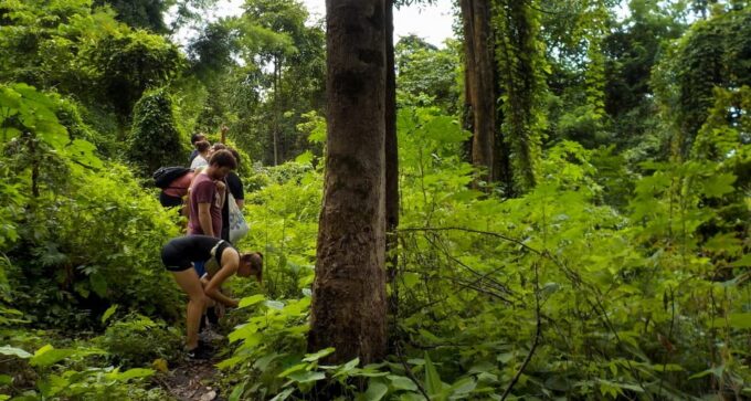 From Chiang Mai: Mae Taeng Valley Hike & Bike Day Trip - Suitability and Restrictions