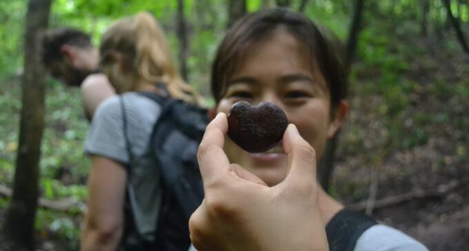 From Chiang Mai: Mae Taeng Valley Hike & Bike Day Trip - Frequently Asked Questions