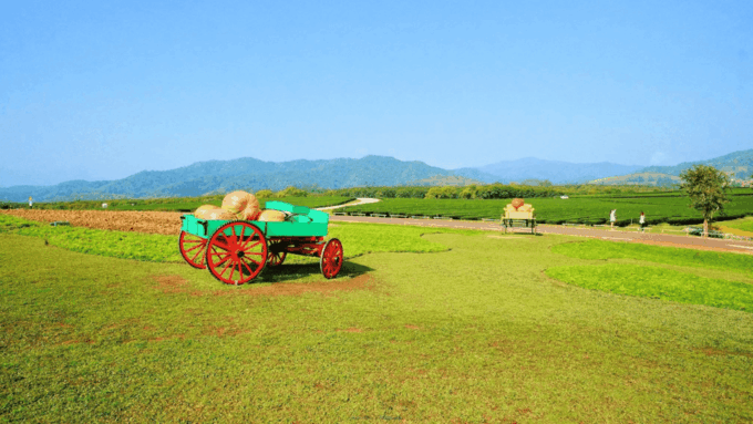From Chiang Mai: Temples & Golden Triangle CUSTOMIZED Tour - Customization Considerations