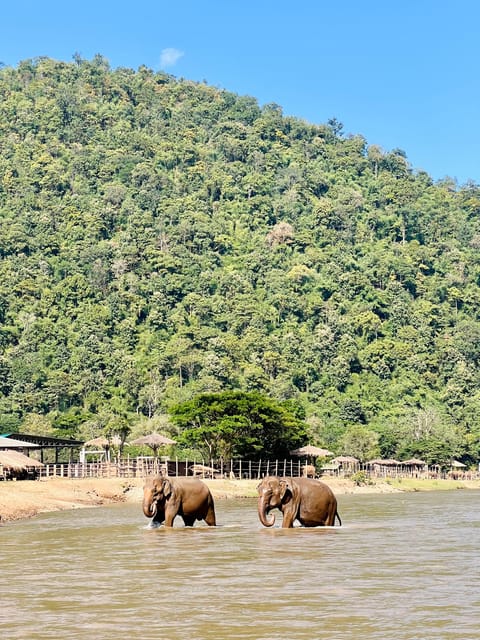 From Chiang Mai: Waterfall, Tubing, & Elephant Half-Day Tour - Age and Accessibility Restrictions