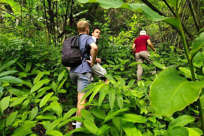 From Chiang Rai Jungle Adventure Group Trekking Bamboo Cooking - A Deep Dive into the Chiang Rai Jungle Adventure Tour