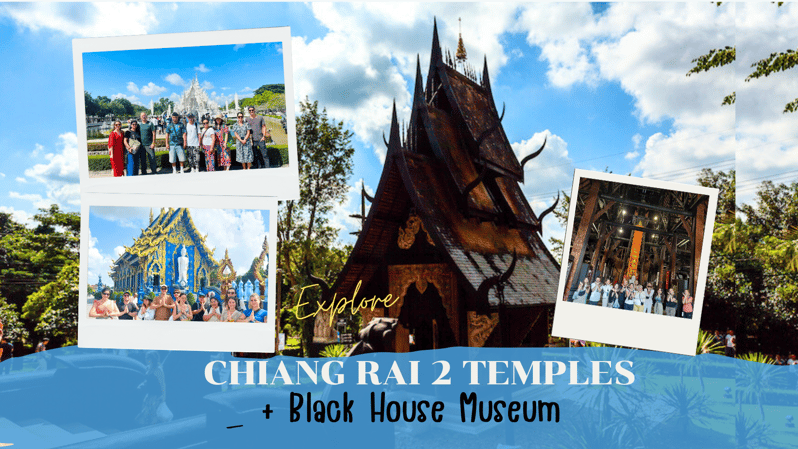 From Chiangmai: Chiang Rai 2 Temples +Black House Museum - Key Points