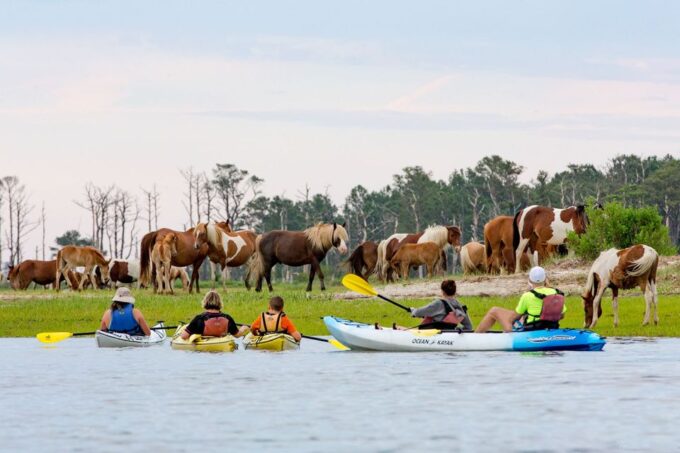 From Chincoteague: Guided Kayak Tour to Assateague Island - Safety Considerations