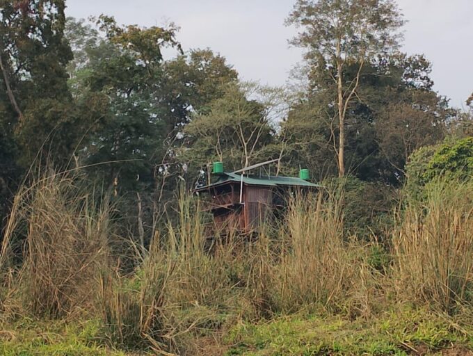From Chitwan: Full Day National Park Jungle Hiking - What to Bring