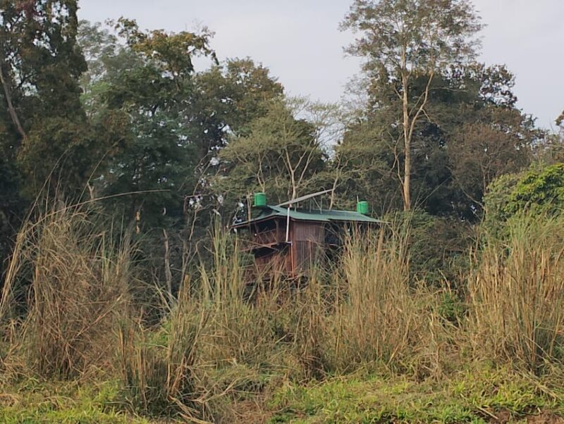 From Chitwan: Full Day Nature Hiking In National Park - Important Information