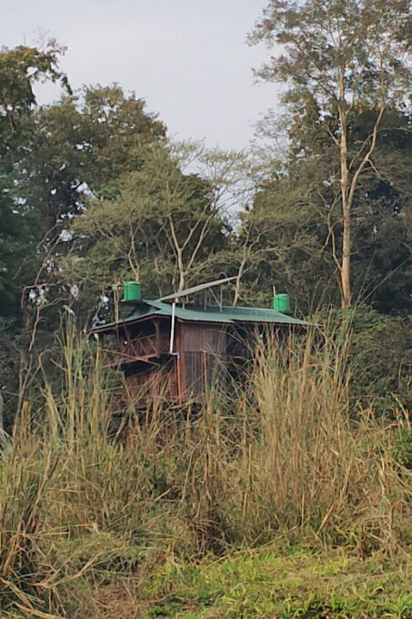 From Chitwan: Half Day Jeep Safari & Canoeing With Guide - Booking and Cancellation