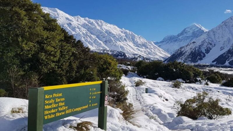 From Christchurch: 1-Way Mount Cook & Lake Tekapo Tour - Itinerary Highlights