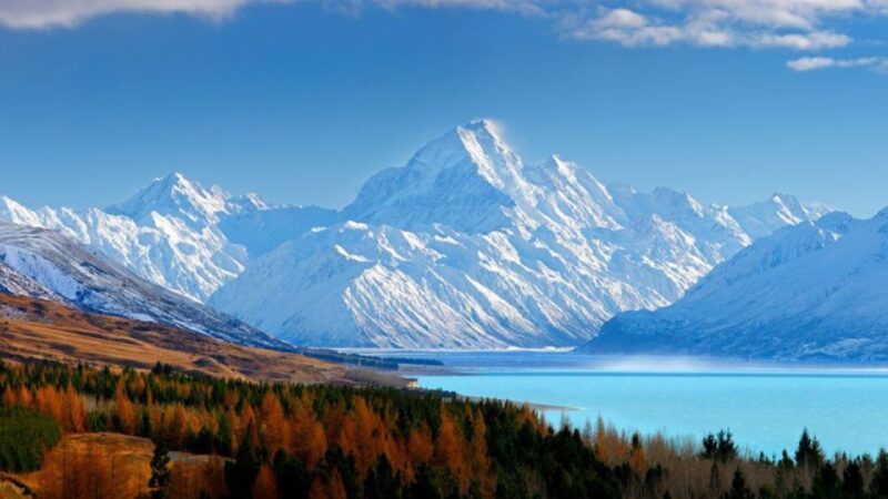 From Christchurch: 1-Way Mount Cook & Lake Tekapo Tour - Customer Reviews and Feedback