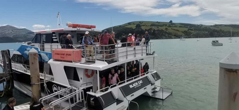 From Christchurch: Akaroa Day Tour with Optional Cruise - Akaroa Village: French Charm and Local Flavors