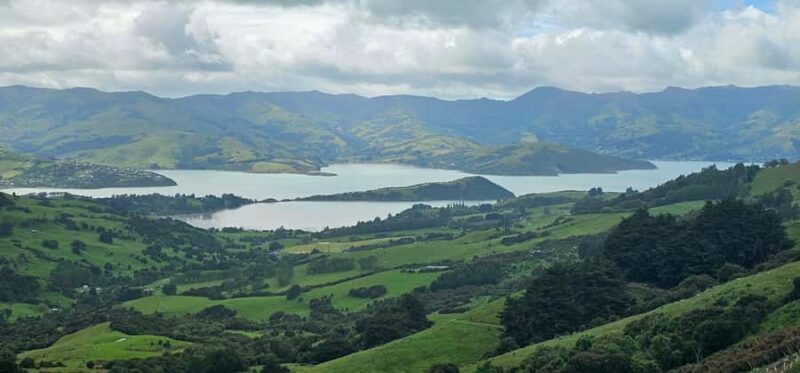 From Christchurch: Akaroa Day Tour with Optional Cruise - FAQ: Quick Answers to Common Questions
