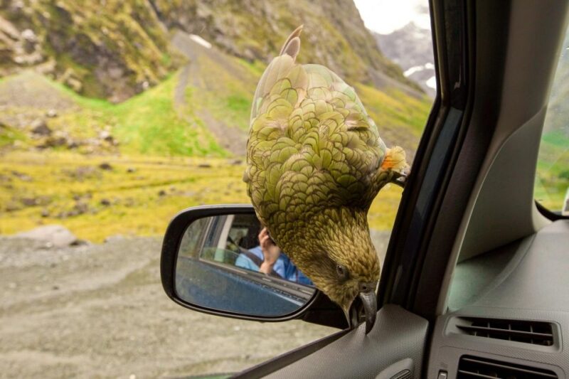 From Christchurch: Arthurs Pass Guided Day Trip With Lunch - Transportation and Pickup