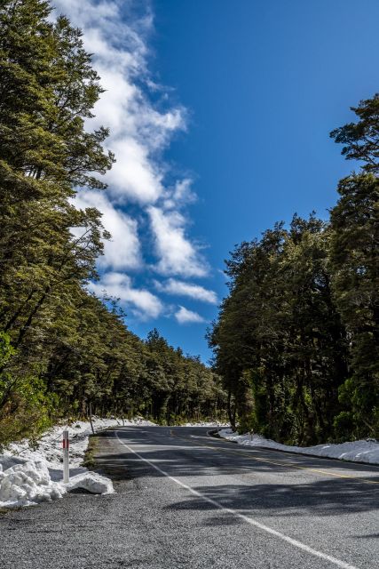 From Christchurch: Arthurs Pass Guided Day Trip With Lunch - Experience and Amenities
