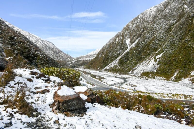 From Christchurch: Arthurs Pass Guided Day Trip With Lunch - Customer Reviews and Feedback