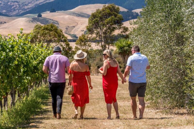 From Christchurch: Full-Day Wine Tour With Lunch - Key Points