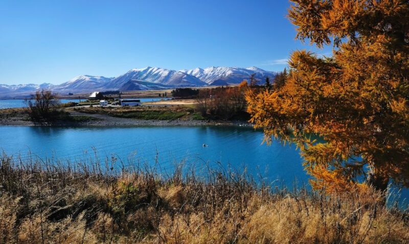 From Christchurch: Guided Day Trip to Queenstown Via Mt Cook - Itinerary and Stops