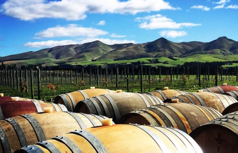 From Christchurch: Guided Local Wine Tours in Waipara - Recap