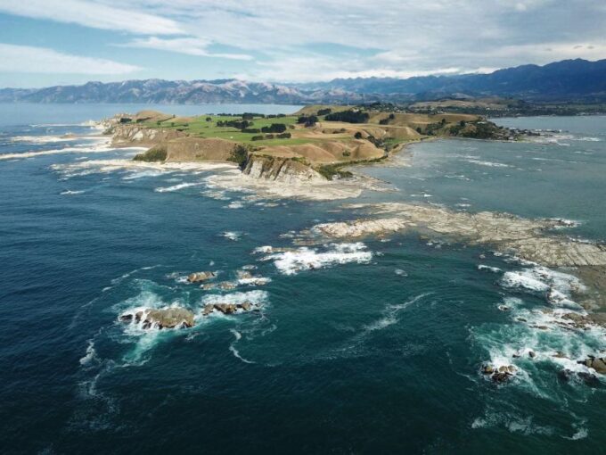From Christchurch: Kaikoura Whale Watching Day Tour - Recap