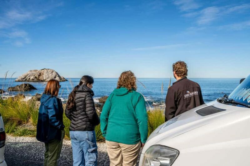 From Christchurch: Kaikura Day Tour With Dolphin Encounter - Key Points
