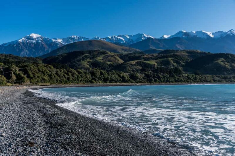 From Christchurch: Kaikura Day Tour With Dolphin Encounter - Final Words