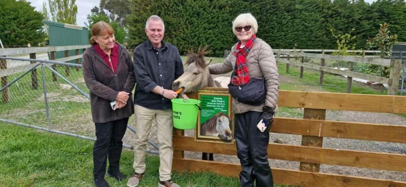 From Christchurch: Sheep Farm Experience with Lunch & Winery - Authenticity and Visitor Experience
